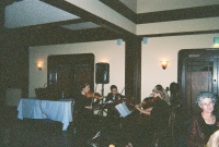 The strings.jpg